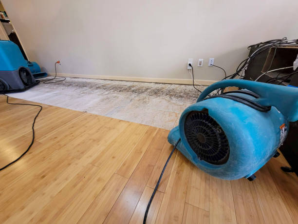 Professional Burst Pipe Water Damage technician working in Glen White, WV